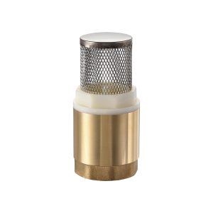 Foot Valve with S.S. Filter