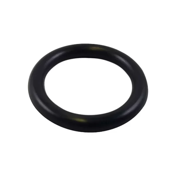 O Ring (OR)