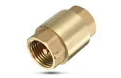 Spring Check Valve (Vertical)