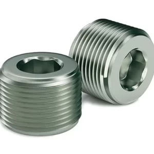 SS Plug Alen Key Type