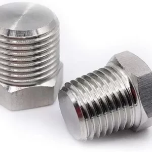 SS Plug Hex