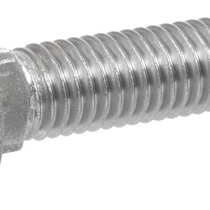 CARRAIGE BOLTS
