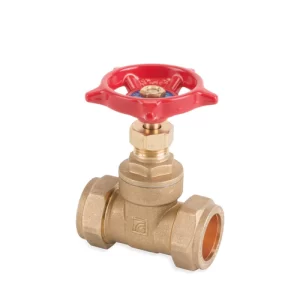 Globe Valve